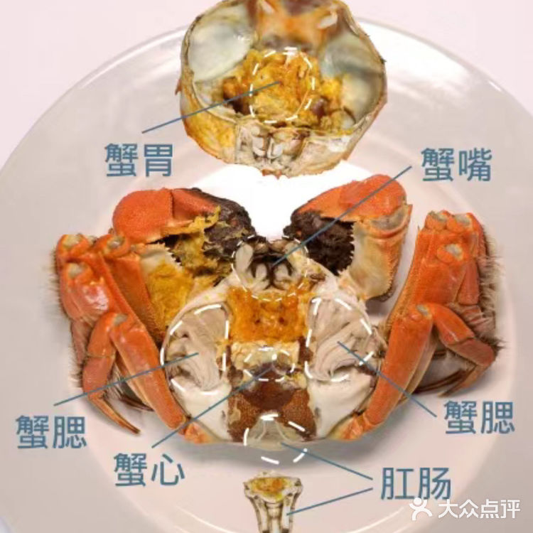 螃蟹🦀五个部位都不能吃❌