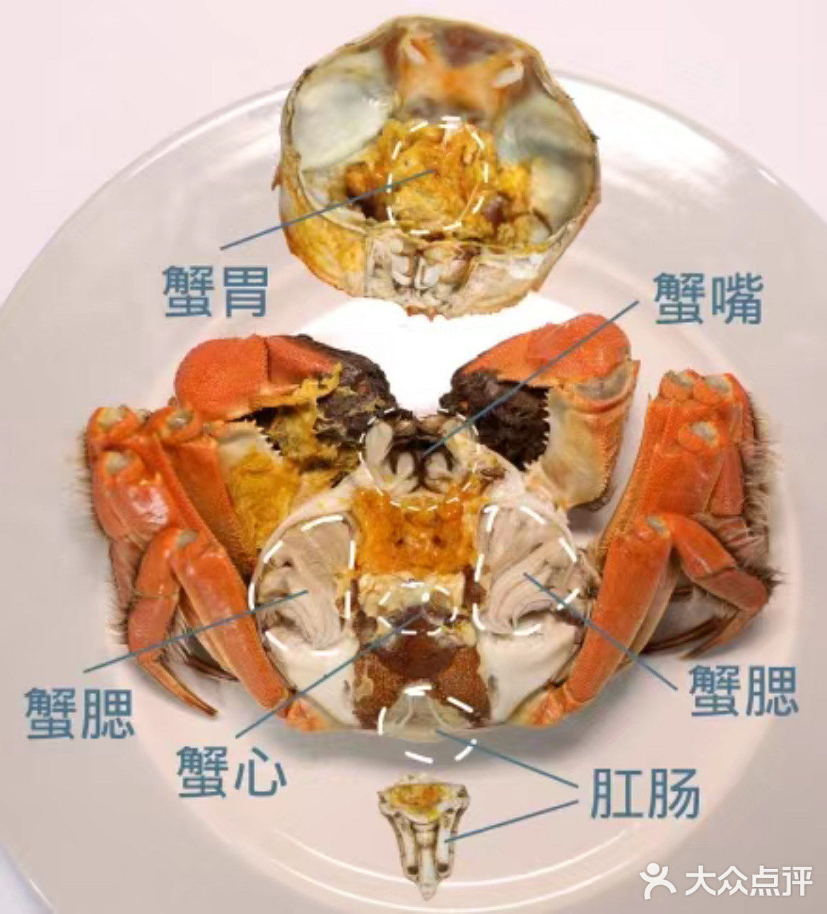 螃蟹🦀五个部位都不能吃❌