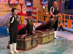 -烟台海昌鲸鲨海洋公园