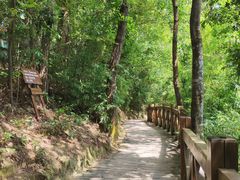 -广州市流溪河国家森林公园