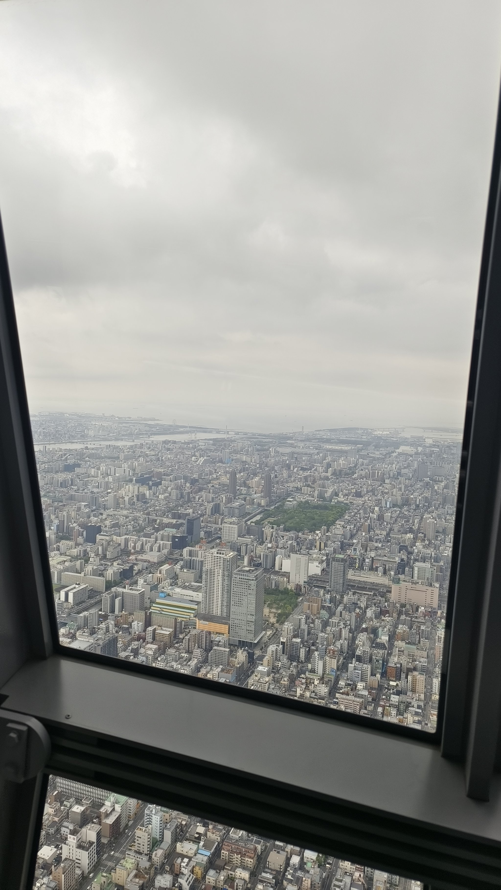 东京晴空塔内部图片