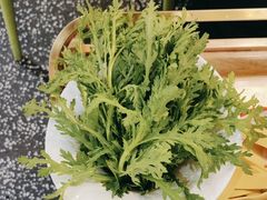 -洪氏嗨捞·猪肚鸡火锅(阳光天地店)