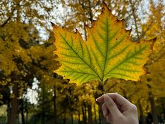 -石家庄市动物园