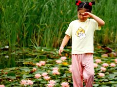 -白鹭湾湿地公园