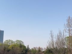 -大望京公园
