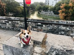-东水关遗址公园