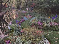 -上海共青森林公园