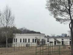 -合肥野生动物园