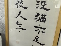-琪喵猫屋·撸猫猫咖·猫舍