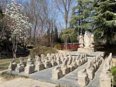 -隆兴寺