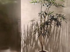 -二酉书店TOYOU BOOKS