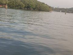 -西湖游船