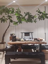 -阿南达·瑜伽普拉提·阿育吠陀疗愈中心