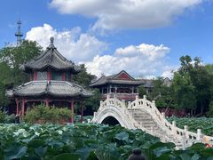 -莲池书院博物馆