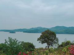 -天目湖涵田半山温泉