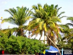 -红色娘子军纪念园