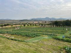 -光明小镇欢乐田园