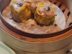 -新兴·金羊座·粤菜点心(乐峰店)