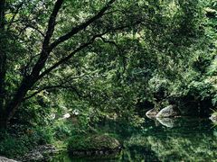 -黄山翡翠谷景区