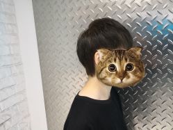 -P.STYLE 派斯造型