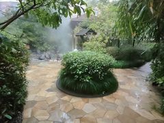 -张家港金凤凰度假村温泉