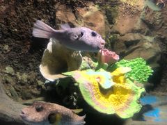 -太平洋海底世界