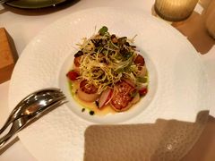 -蝶舍·MAISON PAPILLON