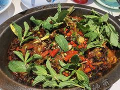 -黔渔翁豆花渎鱼(喷水池店)