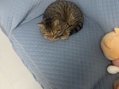 -美迦爱-牙专科·兔科·骨科诊疗中心(北苑店)
