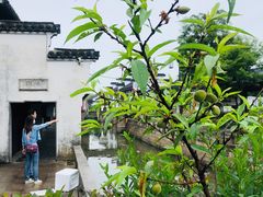 -张家港凤凰山景区恬庄古街