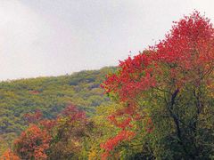 -秦岭风景区