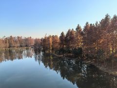 -上海长兴岛郊野公园