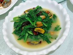 上汤豆苗-金米箩大酒店(五角场店)
