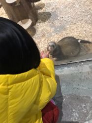 -酷嗒动物文化乐园(cutezoo西溪乐天城店)