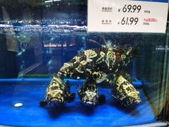 -果蔬好生活超市(东湖店)