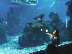 -江和美海洋公园