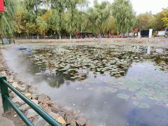 -黛秀湖公园