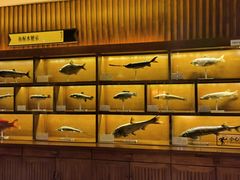 -福成厚江鱼壹号黑金冠好店(群力店)