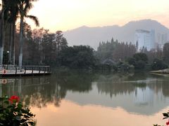-四海公园(南山区)