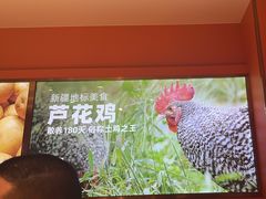 -俭寨大盘鸡·缸子肉·小公鸡·新疆菜(云通店)