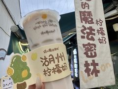 -猫的魔法密林(衣裳街店)