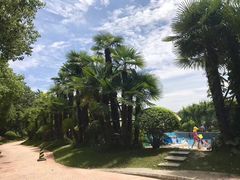 -上海东方佘山翰悦阁酒店·Vie全日制餐厅