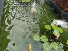 -濮园 · 四合院餐厅