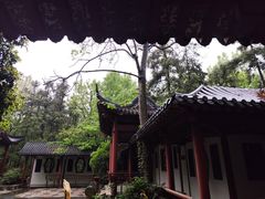 -句容茅山景区