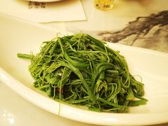 清香丝瓜尖-中国徽菜·徽商故里(远大店)