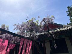 -北京市劳动人民文化宫(太庙)