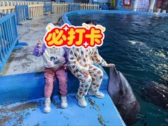 -蓬莱欧乐堡海洋极地世界