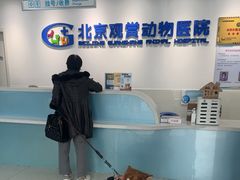 -北京观赏动物医院·24小时大型综合·猫专科·异宠专科
