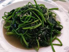 -四姑娘川味海鲜(八爪鱼店)