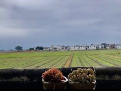 -喜林苑·稻田餐厅(品相府店)